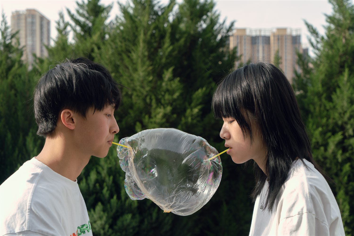 《麦芽糖》行为影像